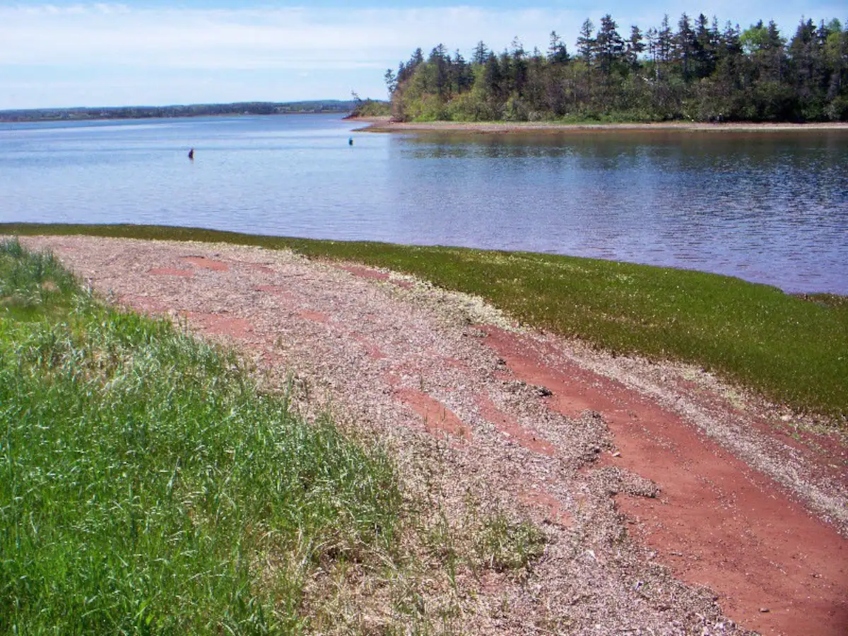 French River Cottage | Tourism PEI